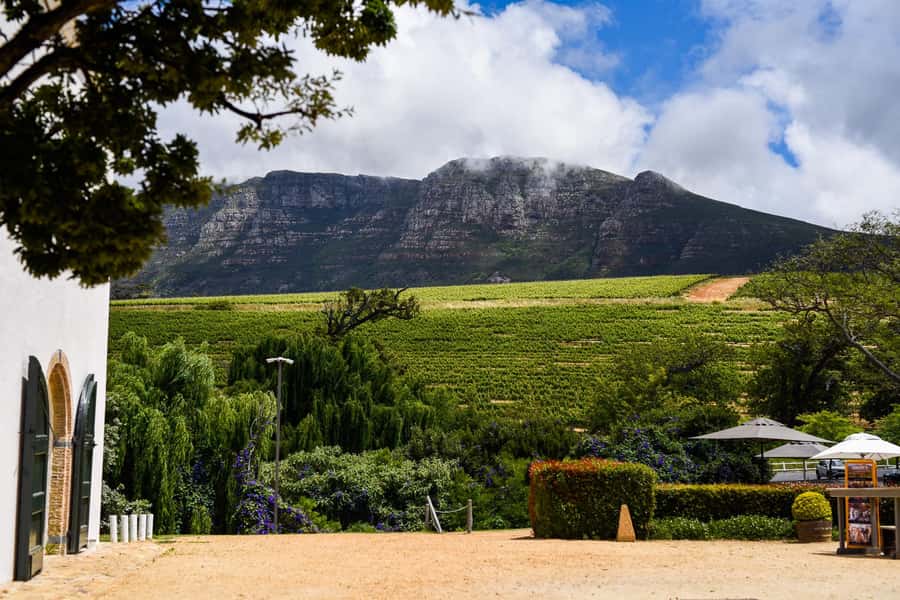Cape Town: Constantia Half-Day Wine Tour & Tastings - Starting with Groot Constantia’s old Cape Dutch setting