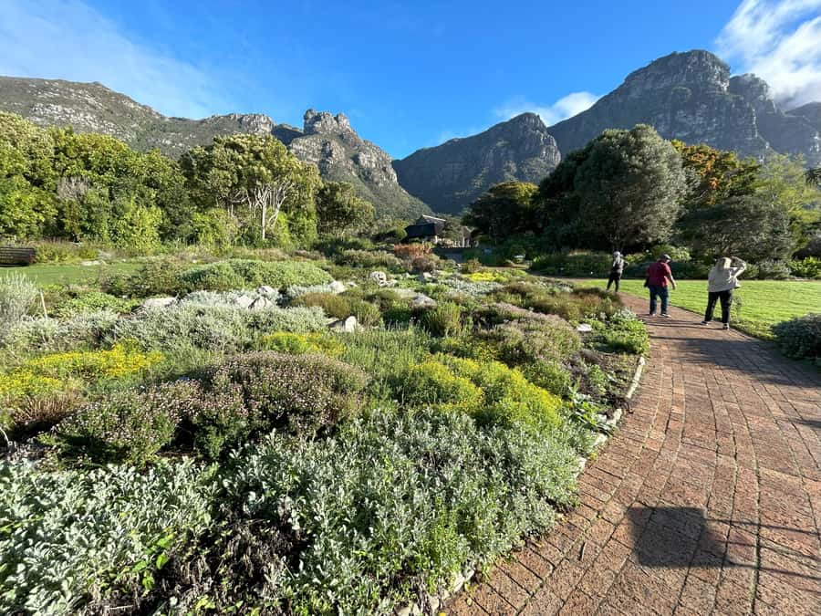 Cape Town: Half Day Table Mountain & Kirstenbosch Gardens - What the guide adds at the summit