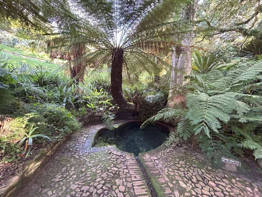 Cape Town: Half Day Table Mountain & Kirstenbosch Gardens - The drive toward Kirstenbosch