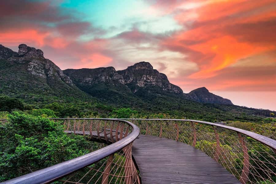Cape Town: Kirstenbosch Botanical Garden Entry Ticket - Look beyond plants: concerts and seasonal programs