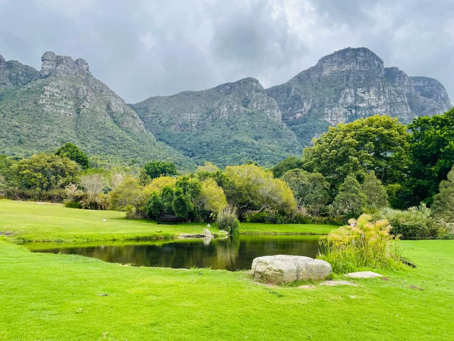 Cape Town: Kirstenbosch Botanical Garden Entry Ticket - Is $34 good value for one day?