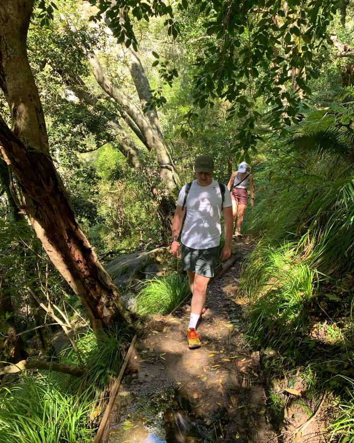 Cape Town: Skeleton Gorge and Kirstenbosch Gardens Hike - Key points to know before you book