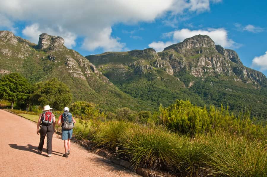 Cape Town: Skeleton Gorge and Kirstenbosch Gardens Hike - The cable car question changes your return plan