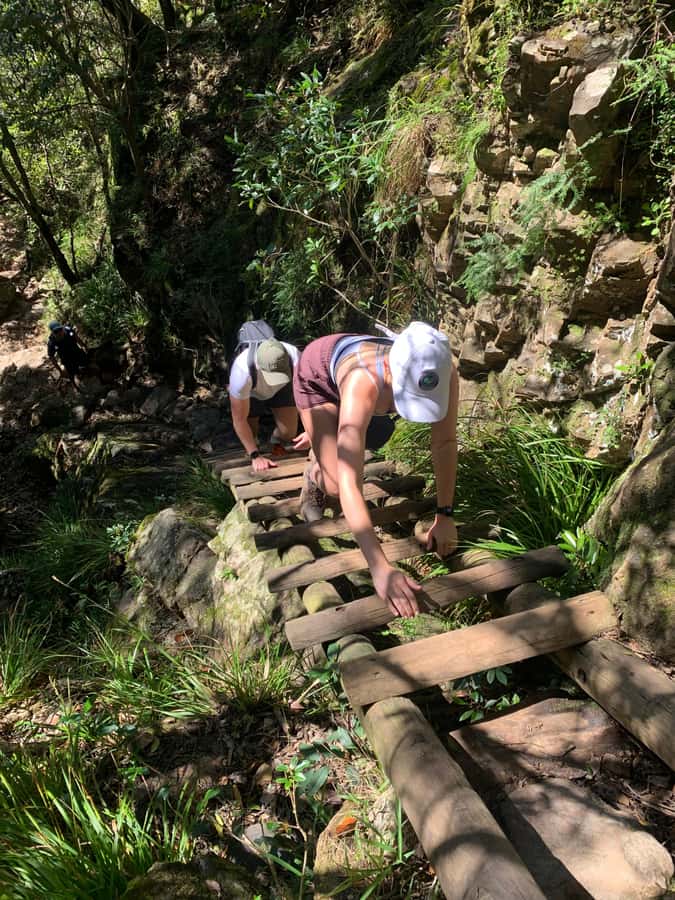 Cape Town: Skeleton Gorge and Kirstenbosch Gardens Hike - Is $93 a fair price?