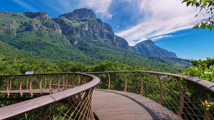 Cape Town: Table Mountain, Kirstenbosch Botanic Garden Tour - Key points at a glance