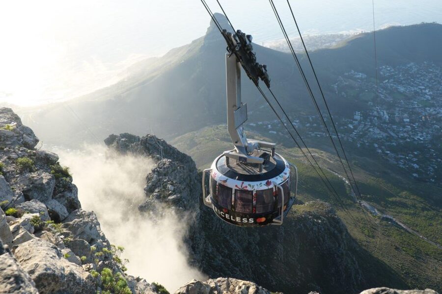 Cape Town: Table Mountain, Kirstenbosch Botanic Garden Tour - Transport, pickup, and group size