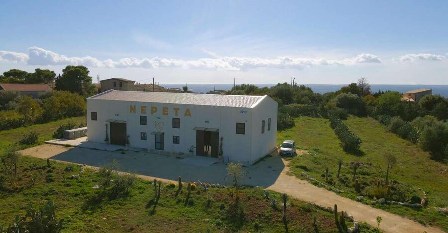 CASA NEPETA: Botanical Walk, Amari Production, and Tasting - From fresh plants to bottled bitters