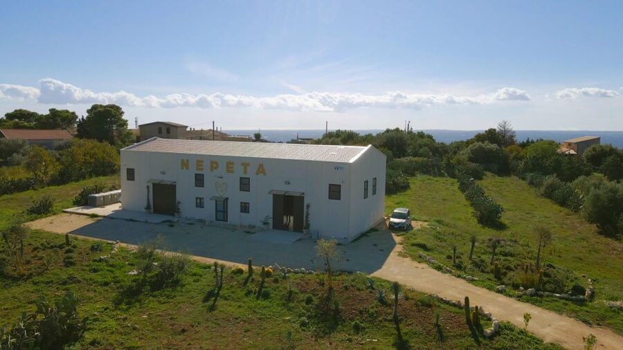 CASA NEPETA: Botanical Walk, Amari Production, and Tasting - The botanical walk among Iblean herbs