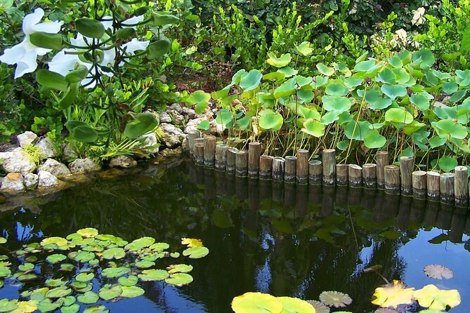 Cayman Crystal Caves & Pedro St James Castle or Botanical Garden - Private transport, cruise timing, and the real cost