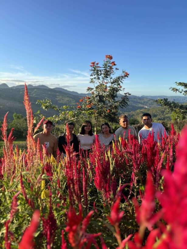 Cebu: City Highlights with Sirao Flower Garden Visit - A Quiet Pause at Cebu Taoist Temple