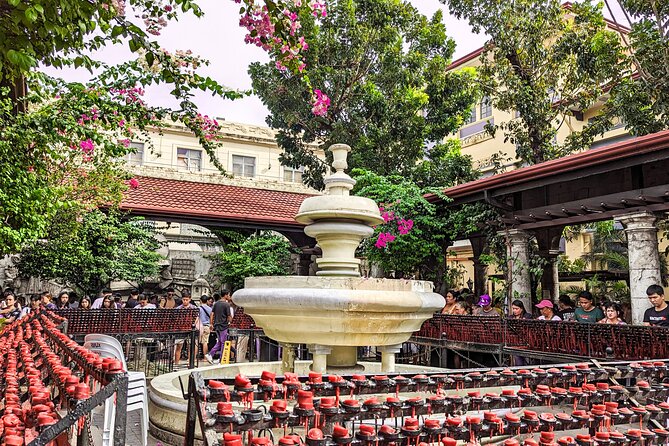 Cebu City with Sirao Garden Half Day Tour - Who should choose this experience