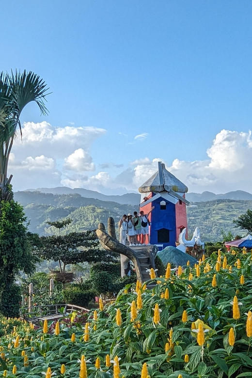 Cebu City with Sirao Garden Half Day Tour - Who should choose this Cebu half-day tour