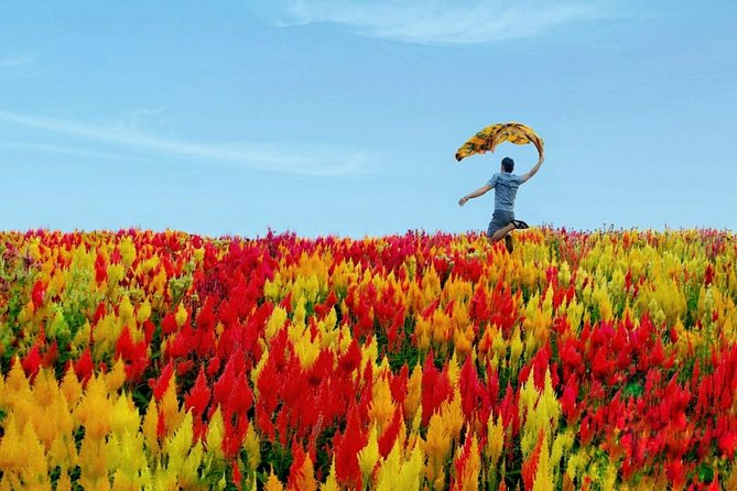 Cebu: Private Twin City Tour +Temple of Leah + Sirao Flower Farm - Temple of Leah starts the day on the hill