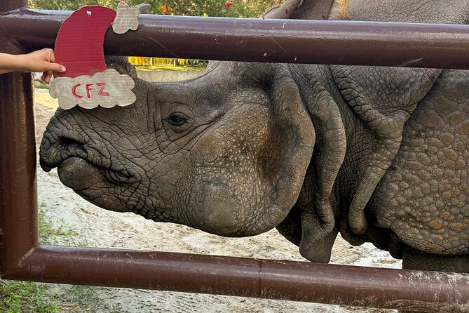 Central Florida Zoo and Botanical Gardens Ticket - Keeper chats add meaning to the animal exhibits
