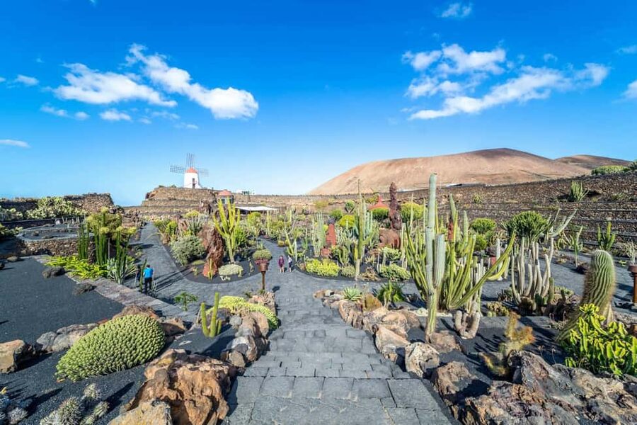 Cesar Manrique’s Lanzarote tour with Cactus Garden & LagOmar - What the four-hour format means