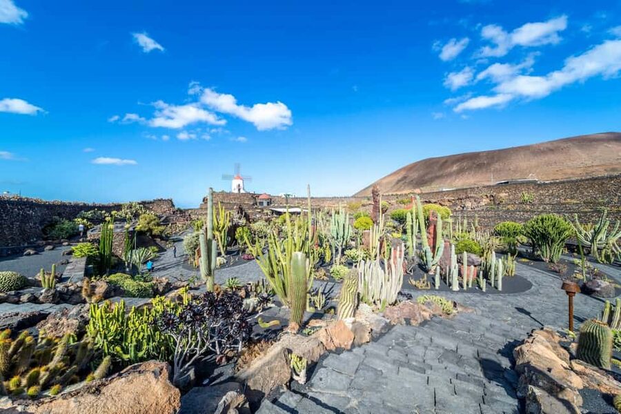 Cesar Manrique’s Lanzarote tour with Cactus Garden & LagOmar - The Cactus Garden and its 1,100 species