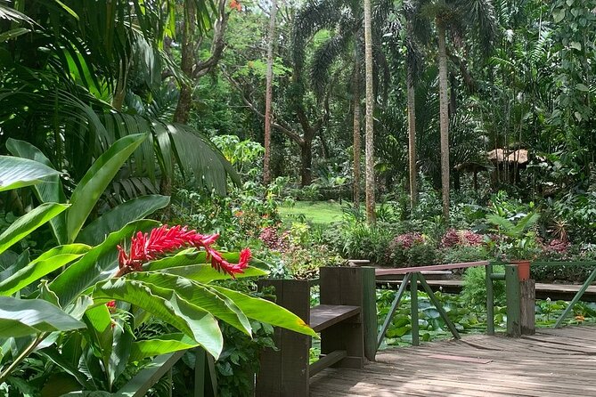 CFC Hot Spring Mud Pool,Garden Of Sleeping Giant And Village Visit Half Day Tour - Why This Half-Day Tour Works Around Nadi
