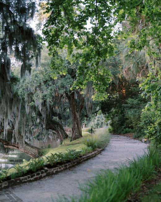 Charleston: Magnolia Plantation & Gardens Guided Tour - Key points to know before you book
