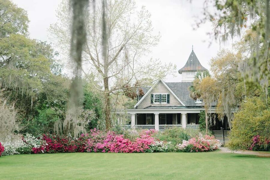 Charleston: Magnolia Plantation & Gardens Guided Tour - Gardens, trails, and the value of slowing down