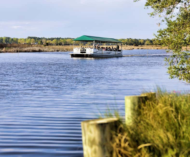 Charleston: Magnolia Plantation & Gardens Guided Tour - Audubon Swamp Garden and the Wildlife Center
