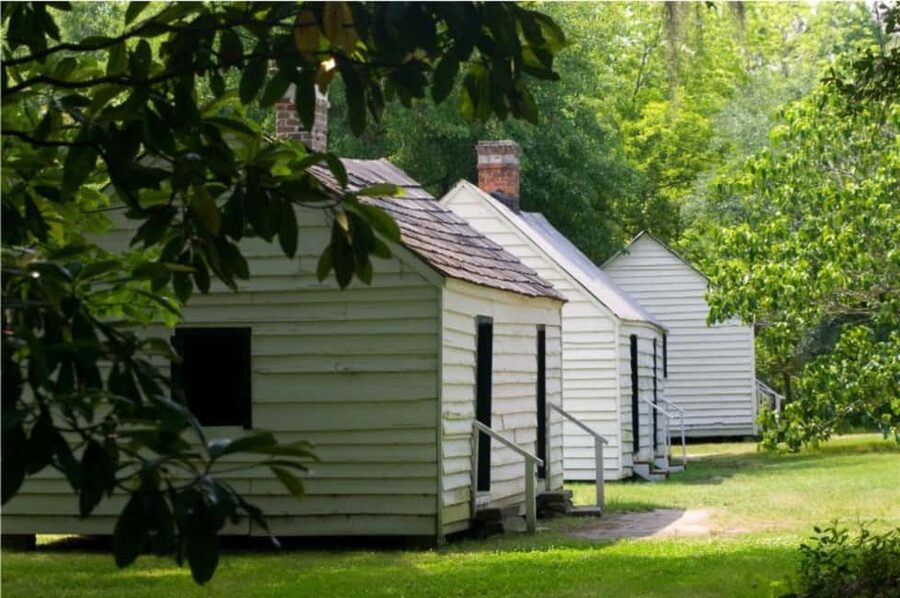 Charleston: Magnolia Plantation & Gardens Guided Tour - Who will enjoy this experience most?