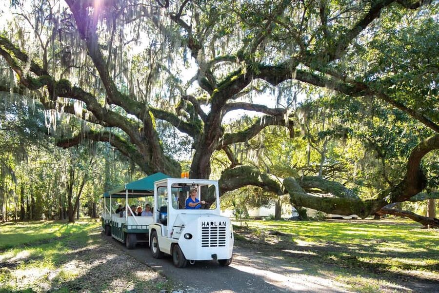 Charleston: Magnolia Plantation & Gardens Guided Tour - The Magnolia Plantation House tour