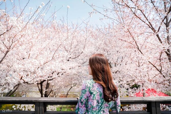 Chasing Cherry Blossom & Spring Flowers Day Tour from Seoul - Key points before you book