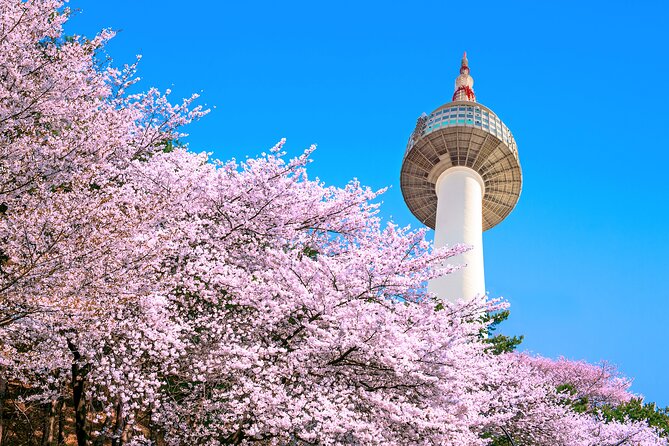 Chasing Cherry Blossom & Spring Flowers Day Tour from Seoul - Three stops, three chances for a different spring view