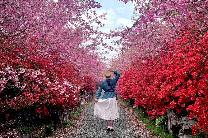 Chasing Cherry Blossom & Spring Flowers Day Tour from Seoul - What is included, and what you still pay for