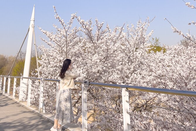 Chasing Cherry Blossom & Spring Flowers Day Tour from Seoul - Practical points to know before departure