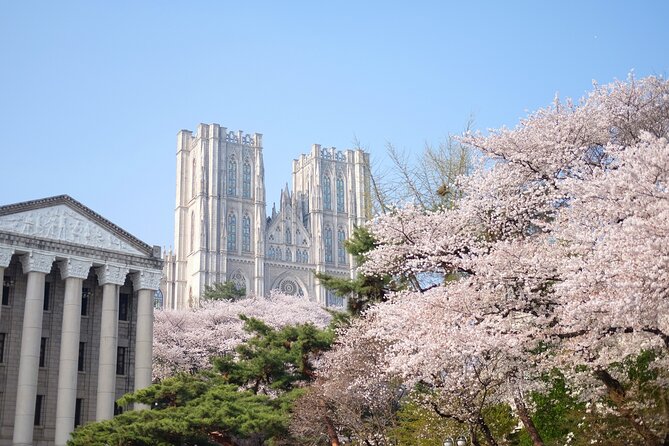 Chasing Cherry Blossom & Spring Flowers Day Tour from Seoul - A full day on the road