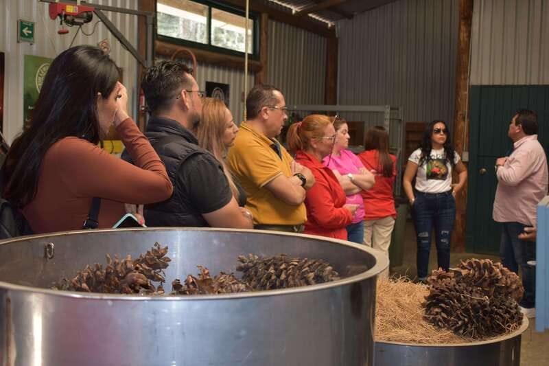 Chautla's Castle, Lavender Farm, and Valquirico Private Tour - Rancho San Martín and the lavender fields