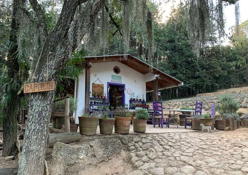 Chautla's Castle, Lavender Farm, and Valquirico Private Tour - The one-hour drive from Puebla to Chautla