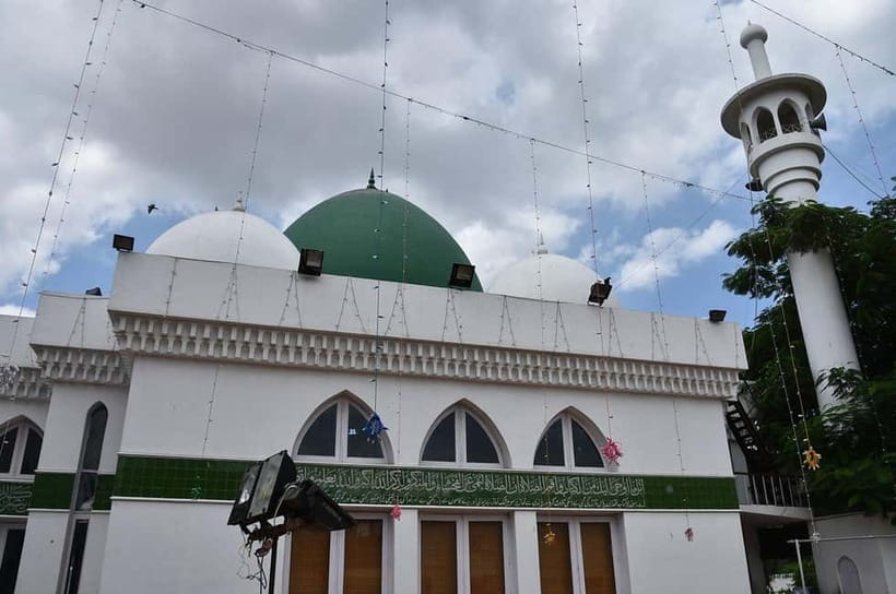 Chennai: Botanical Garden, Thousand Lights Mosque & Bazaar - Semmozhi Poonga: a calm start among plants