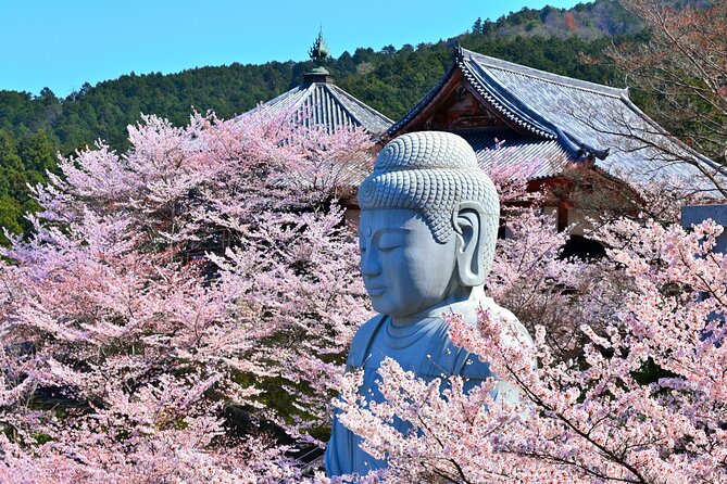 Cherry Blossom Buddha and Mt.Yoshino with Strawberry Picking Tour - Why this Osaka day trip works
