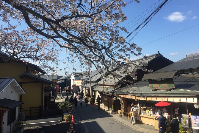 Cherry Blossom Buddha and Mt.Yoshino with Strawberry Picking Tour - What the $114.02 price gives you