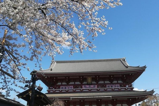 Cherry Blossom Highlights, Asakusa, Ueno, Imperial Palace Garden - Walking through Senso-ji and Nakamise Street