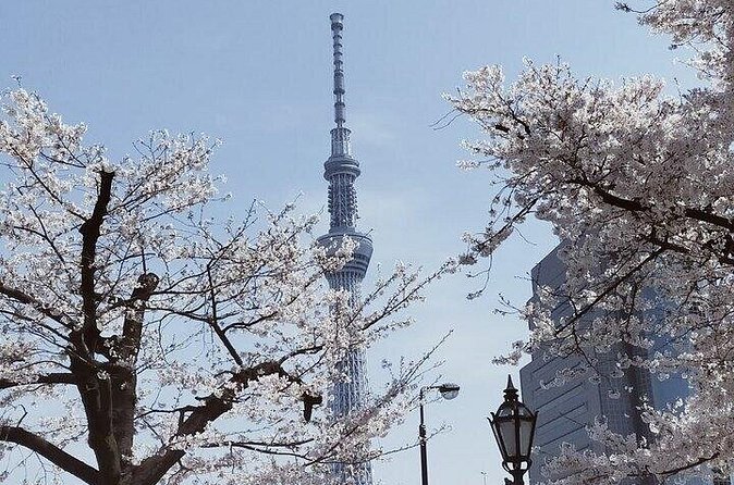 Cherry Blossom Highlights, Asakusa, Ueno, Imperial Palace Garden - Exploring Ameyoko Shopping Street