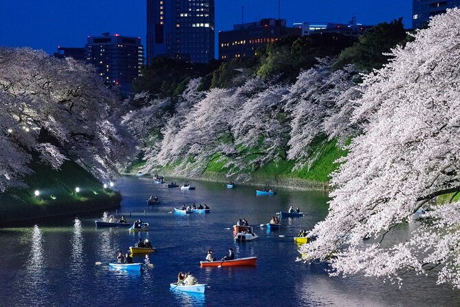 Cherry Blossom Private Tour - What the vehicle and guide add