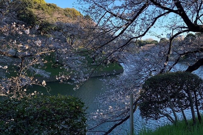 Cherry blossom tour in Tokyo - Asakusa: Tokyo’s oldest temple and shopping street