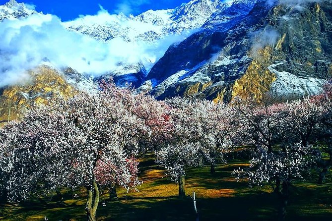 Cherry Blossoms Trip to Northern Areas of Pakistan 2020 (8D 7N) - Five things to know before you book