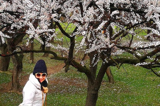 Cherry Blossoms Trip to Northern Areas of Pakistan 2020 (8D 7N) - Islamabad begins the journey with useful simplicity