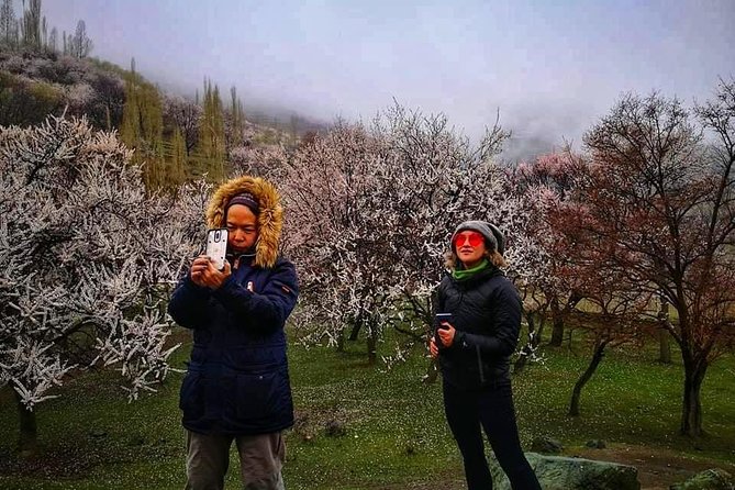 Cherry Blossoms Trip to Northern Areas of Pakistan 2020 (8D 7N) - Day three: the high mountain meeting point and Hunza