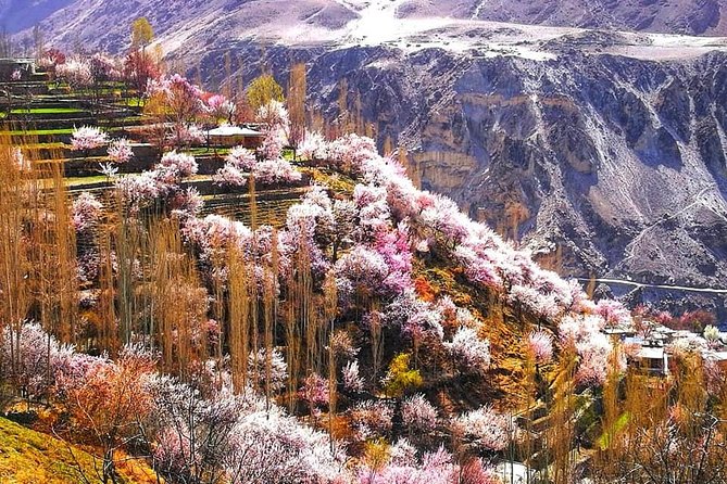 Cherry Blossoms Trip to Northern Areas of Pakistan 2020 (8D 7N) - Day two: twelve hours toward Chilas