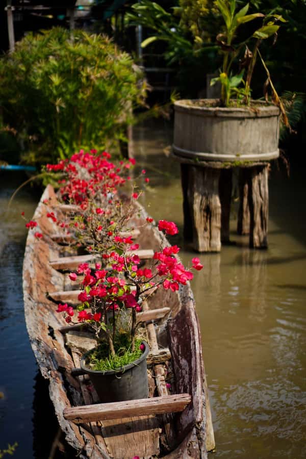 Chiang Mai: Doi Suthep, Orchid Farm and Waterfall with Lunch - Who should book this experience?