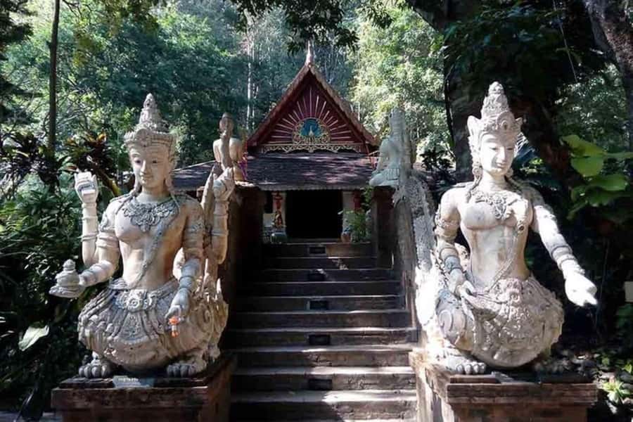 Chiang Mai: Doi Suthep, Orchid Farm and Waterfall with Lunch - Why this day works for Chiang Mai