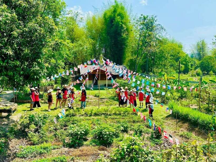 Chiang Mai: Half Day Cooking Class at Organic Farm - Why this Chiang Mai class is good value at $31