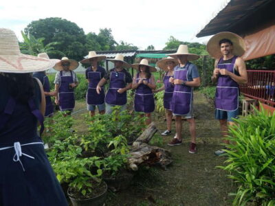 Half Day Cooking Class at Organic Farm
