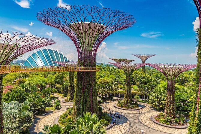 City Tour+Gardens by the Bay(FlowerDome&JurassicWorld) Transfers - Gardens by the Bay: the main event