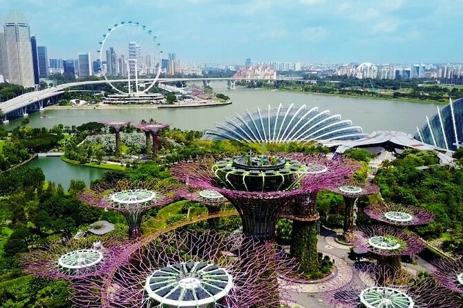 City Tour+Gardens by the Bay(FlowerDome&JurassicWorld) Transfers - The transfer question matters